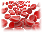 სისხლის და სისხლმბადი ორგანოების დაავადებების მკურნალობა