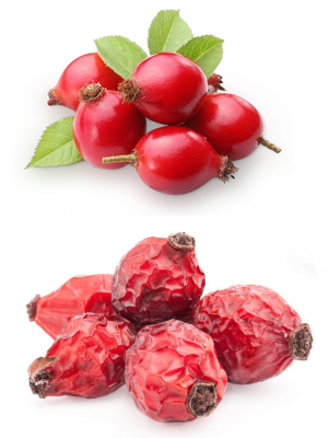 ასკილის მშრალი ნაყოფი – Плоды шиповника – Rosa canina